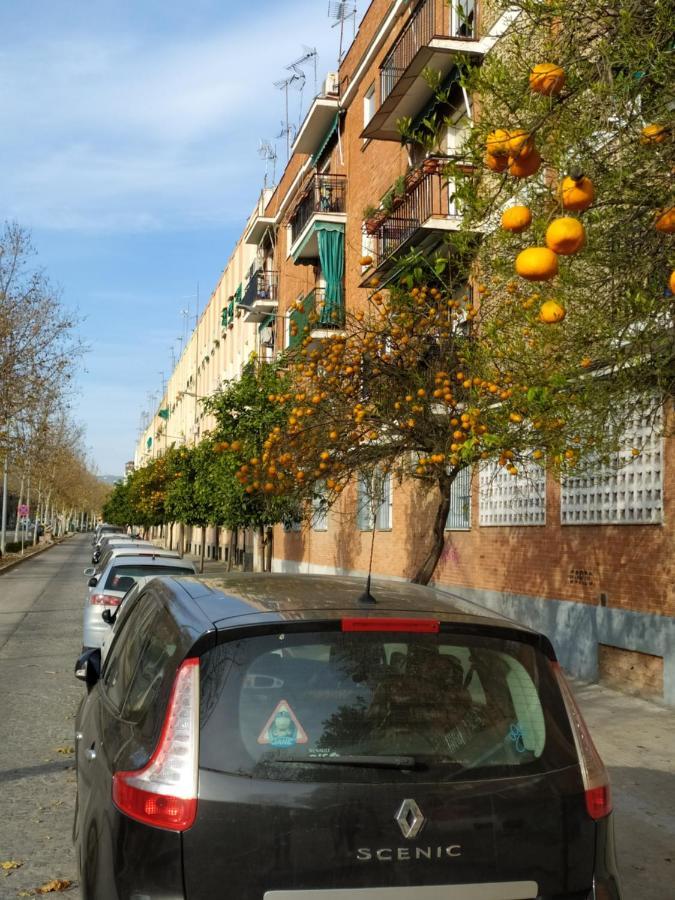 Apartamento Turistico Hotell Córdoba Exteriör bild